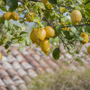 Отель Agriturismo Bergi, фото 38