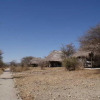 Отель Whistling Thorn Tented Camp, фото 1