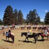 Отель Majestic Dude Ranch, фото 7