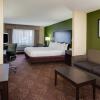 Отель Holiday Inn Express Harvey-Marrero, an IHG Hotel, фото 4