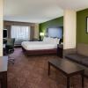 Отель Holiday Inn Express Harvey-Marrero, an IHG Hotel, фото 14