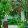 Отель Painter Garden Homestay, фото 15
