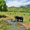 Отель Kwa Maritane Bush Lodge, фото 31