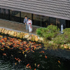Отель Kobi Onsen Resort Hue, Affiliated by Meliá, фото 27