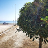 Отель Appartamento Blue Dream1 Fronte Mare pp, фото 16