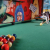 Отель The Overstay Art Hostel, фото 15