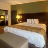 Отель Comfort Inn & Suites, фото 7