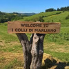 Отель Azienda Agricola I Colli di Marliano, фото 18