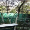 Гостиница Киви, фото 8