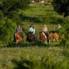 Отель Wildcatter Ranch & Resort, фото 30