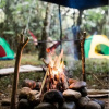 Отель Tropicalfolks Campers Lodge, фото 13