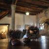 Отель Affittacamere Valnascosta, фото 8