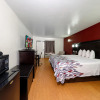 Отель Red Roof Inn Crestview, фото 3