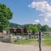 Отель Sun Dance Ranch, фото 7
