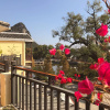 Отель FangLian Lake Holiday Resort, фото 28