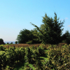 Отель Lunkaberg Bed & Breakfast, фото 15