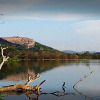 Отель Sigiriya Rock Gate Resort, фото 24