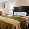 Отель Econo Lodge, фото 7