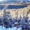 Отель Pikes Peak Paradise - Woodland Park, фото 20