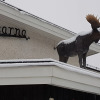 Отель Big Moose Hotel, фото 1