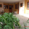 Отель Camacuri Apartments, фото 16