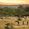 Отель Lion Sands Ivory Lodge, фото 31