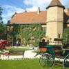 Отель Wörners Schloss Weingut & Wellness Hotel, фото 19