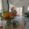Отель Pleasant House Directly Behind the Dunes of the Netherlands' Largest Southern Beach, фото 8