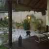 Отель Mandinka Lodge, фото 16