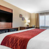 Отель Comfort Inn And Suites, фото 4