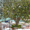 Отель Port Villa Deniz, фото 12