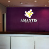 Отель Amantis Hotel, фото 2