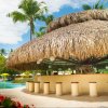 Отель Impressive Punta Cana - All inclusive, фото 36