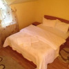 Отель Pensiunea Popasul Dacilor, фото 3