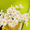 Отель Summer Taste Homestay, фото 30