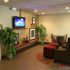 Отель Hampton Inn Norfolk/Chesapeake (Greenbrier Area), фото 16