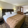 Отель Holiday Inn Express Clemmons (Winston/Salem Area), фото 26