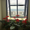 Отель May House Hotel, фото 23