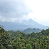 Отель Wayanad Ranches Resorts, фото 7