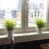 Отель Zurenbourg Charming 7, фото 8