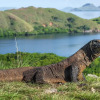 Отель Meruorah Komodo Labuan Bajo, фото 24