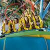 Отель PortAventura® Hotel Gold River, фото 26