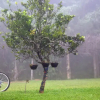 Отель Pousada Baú Das Pedras, фото 15