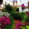 Отель Gumusluk Garden Suite, фото 15