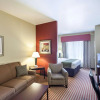 Отель Comfort Suites Medical Center near Six Flags, фото 4