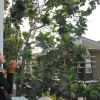 Отель D’Java Homestay Unit Monjali 2 By The Grand Java, фото 1