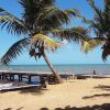 Отель Leaning Palm Resort, фото 49