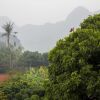 Отель Tam Coc Palm House, фото 37