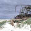 Отель Strandburg Prerow, фото 12