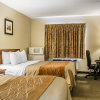 Отель Comfort Inn & Suites Wilkes Barre - Arena, фото 2